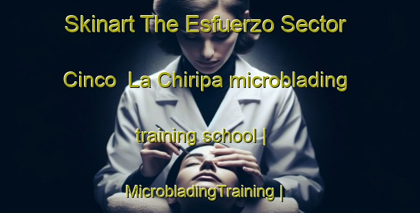 Skinart The Esfuerzo Sector Cinco  La Chiripa microblading training school | MicrobladingTraining | MicrobladingClasses | SkinartTraining-Mexico